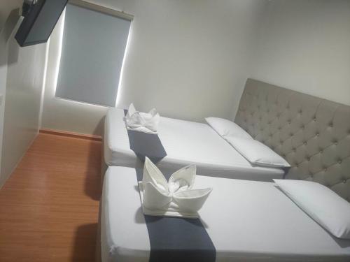 dg budget hotel salem