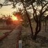 mikumi faru luxury tented campsite