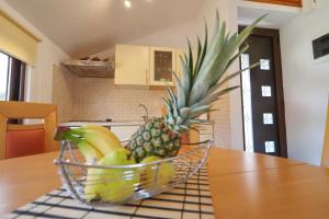 apartment josipa vela luka