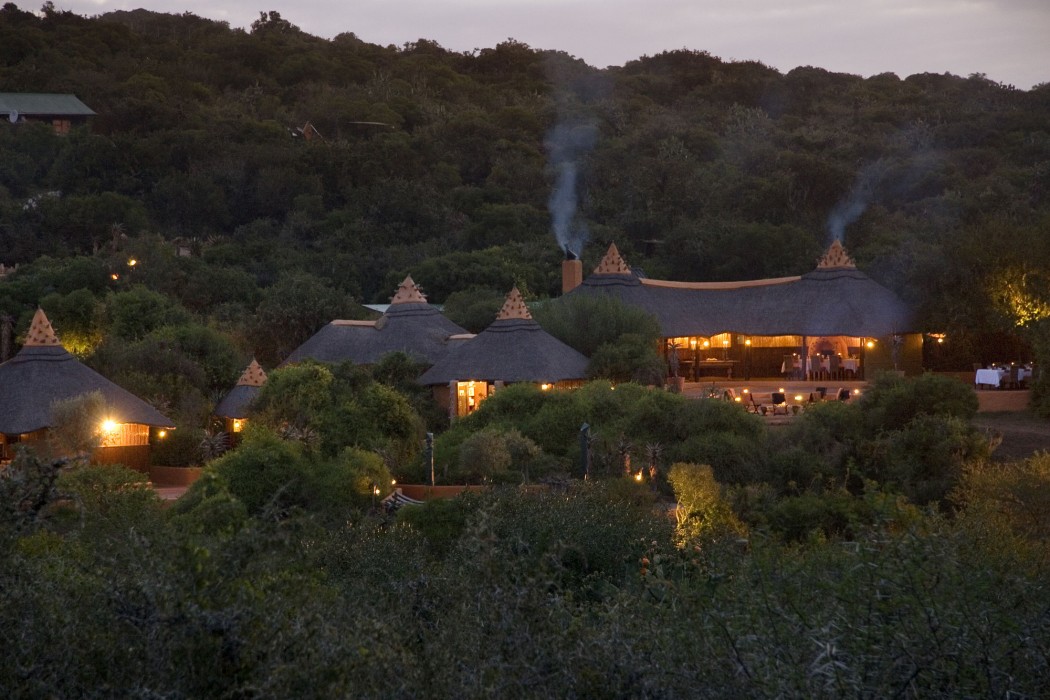 safari lodge amakhala game reserve