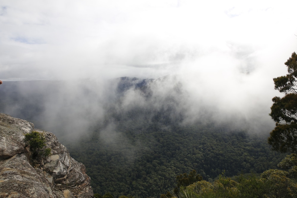 wentworth falls