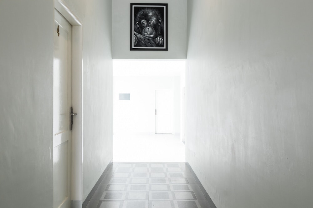 reddoorz plus near rs usu medan 2