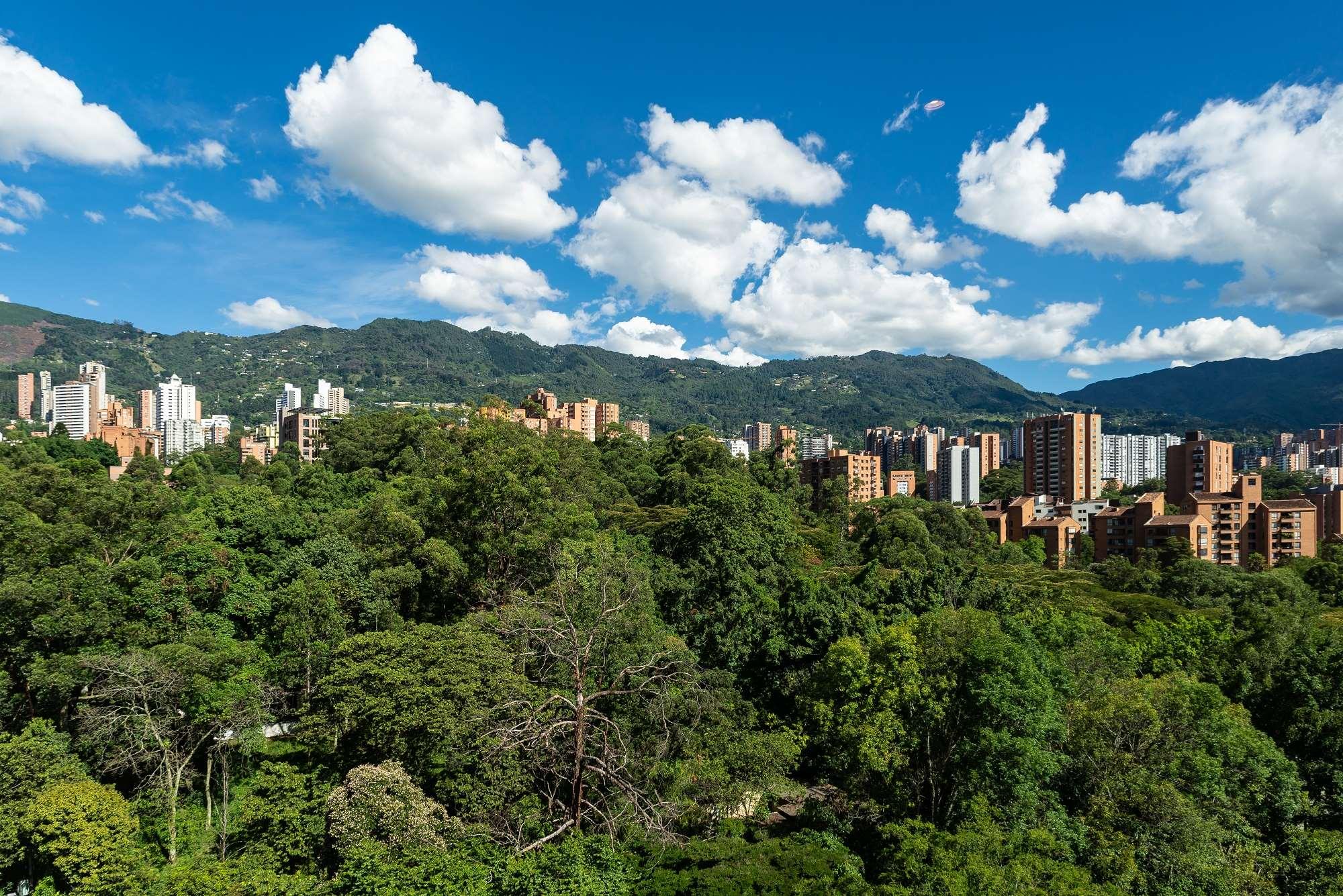 medellin