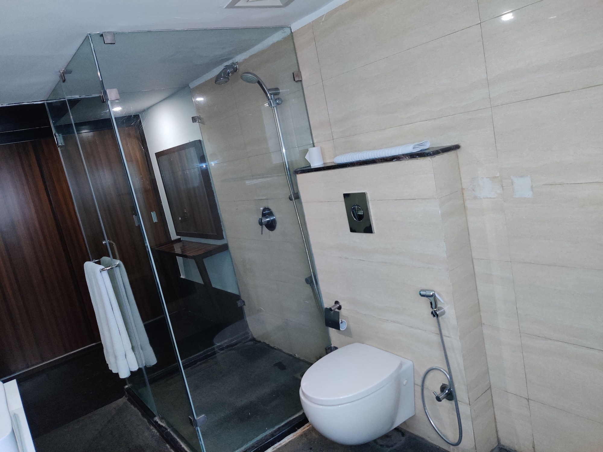 virohaa hotel new delhi