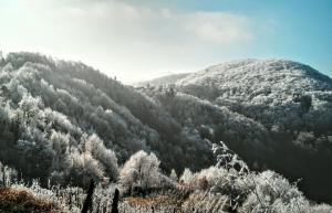 discover the magic of nature