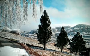 discover the magic of nature