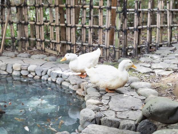 hana no omotenashi nanraku