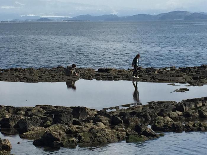 cocoreto the guest house hostel