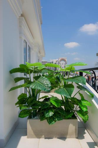 hera hotel