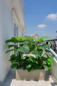 hera hotel