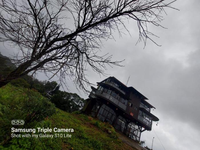 coorg tree house