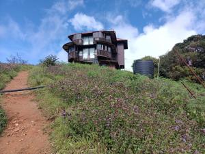 Coorg Tree House,Virajpet,3 star