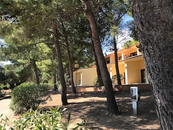club esse palmasera