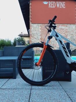 red wine guest house