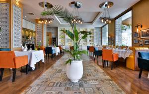 terminus city center