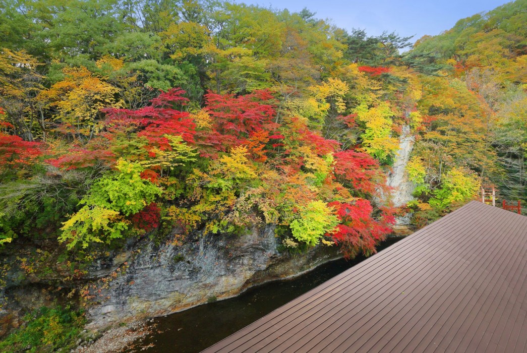 yu no mori hotel shidotaira