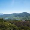 fort munnar