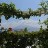 grand hotel vesuvio
