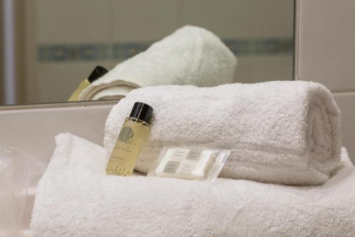 zenitude divonne confort