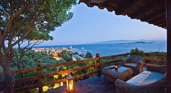 aristotelis