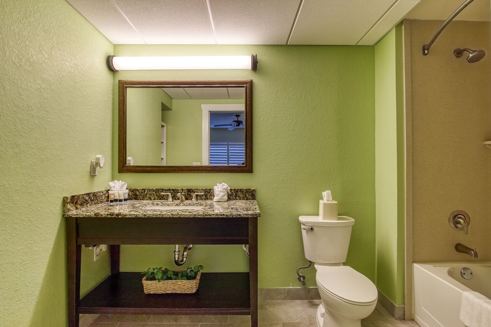new hotel collection harbourside