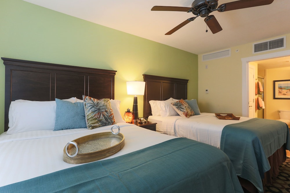 new hotel collection harbourside