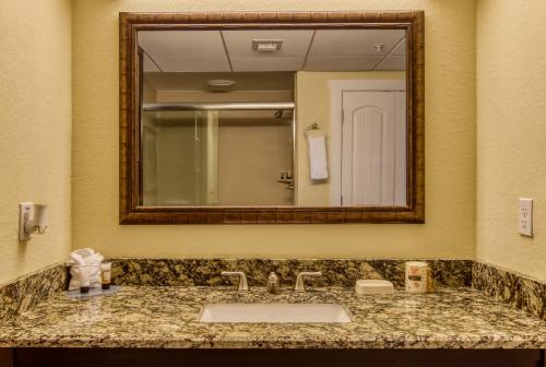 new hotel collection harbourside