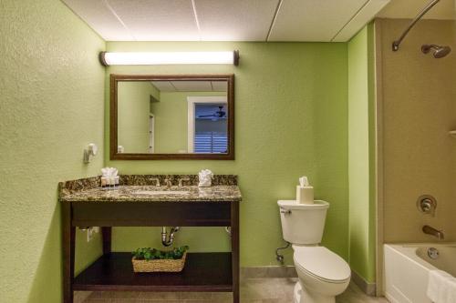 new hotel collection harbourside