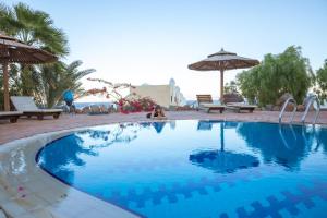 bedouin moon hotel