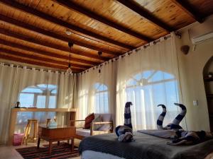 bedouin moon hotel