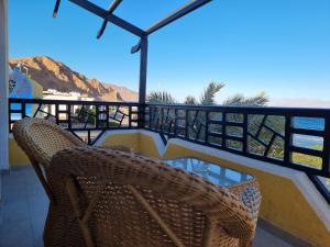 bedouin moon hotel