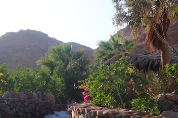 bedouin moon hotel