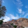 bedouin moon hotel