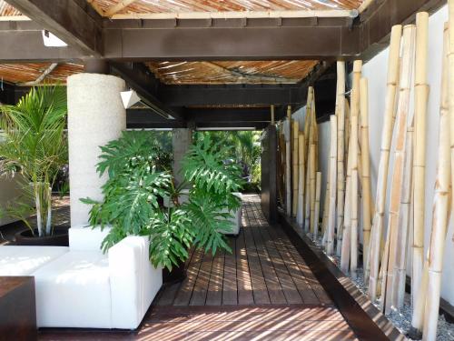 hotel and spa luna canela boutique