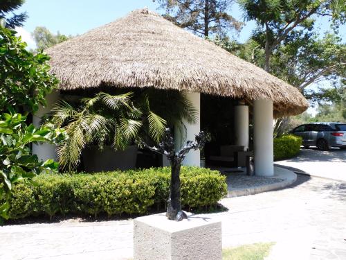 hotel and spa luna canela boutique