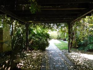 hotel and spa luna canela boutique