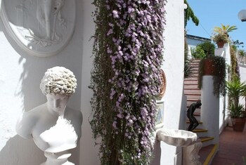 hotel belsole ischia