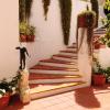 hotel belsole ischia