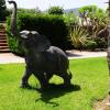 hotel belsole ischia