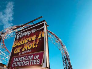 chelsea suite sasco apartments