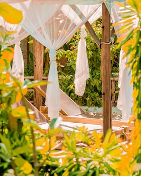 la cocoteraie ecolodge glamping