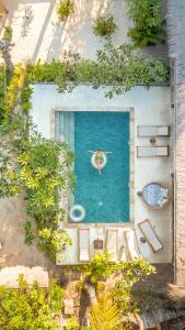 la cocoteraie ecolodge glamping