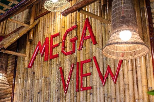 mega view homestay