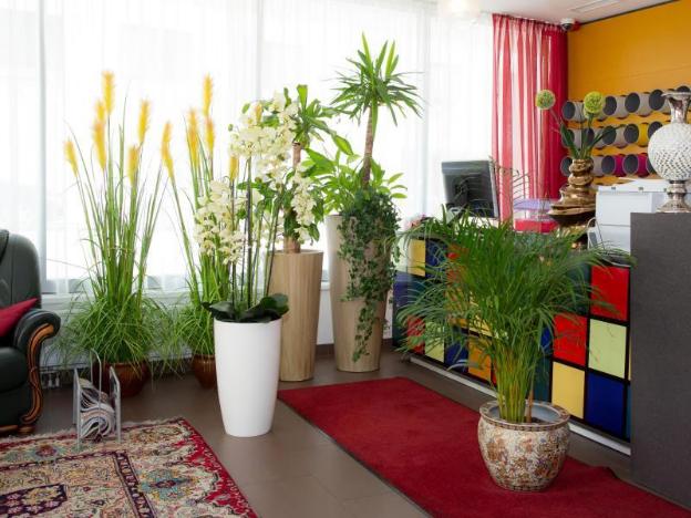 aandt holiday hostel wien