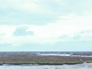 the quay bandb