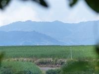 hotel bandb garden grecia