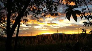 hotel bandb garden grecia