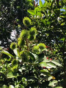 hotel bandb garden grecia