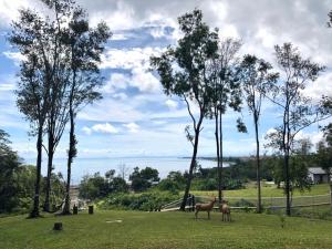d view holiday home