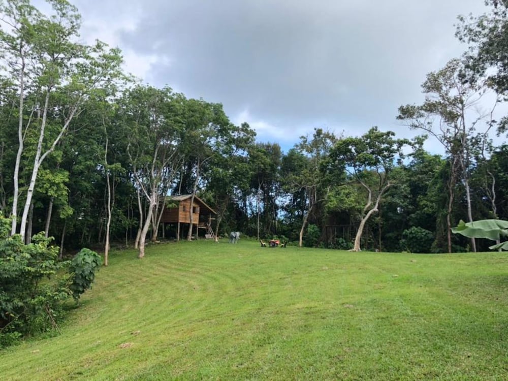 d view holiday home